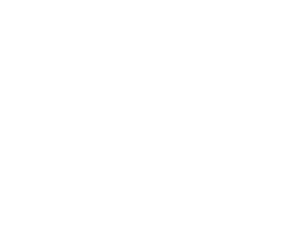 Power 15X Golden Plan / 1 months