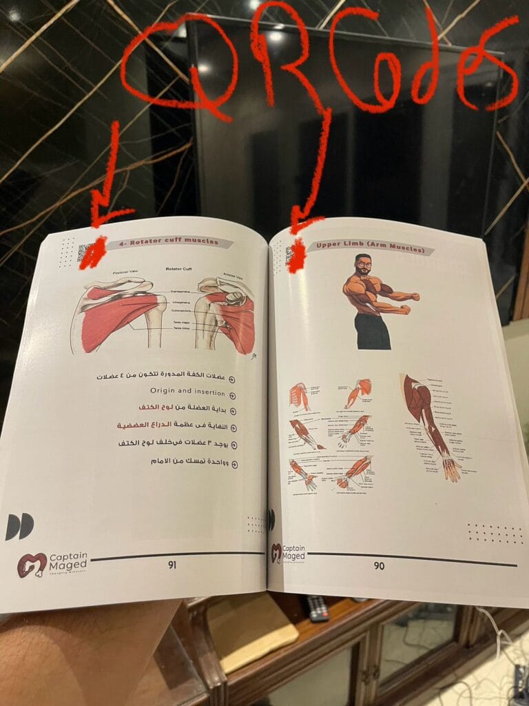 WhatsApp Image 2025-11-17 at 16.02.48_be8c931f