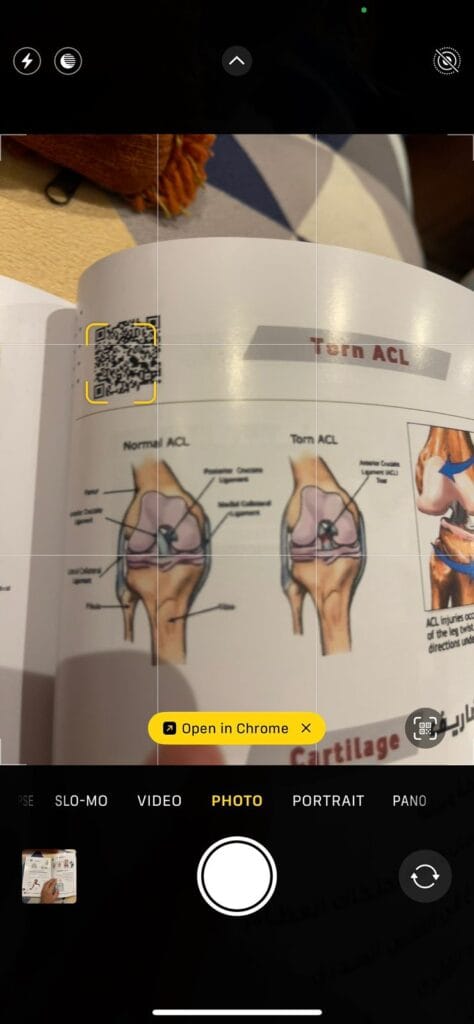 WhatsApp Image 2025-11-17 at 16.02.49_e7b2fd04